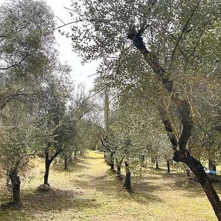 Agriturismo, Casa Borgo *